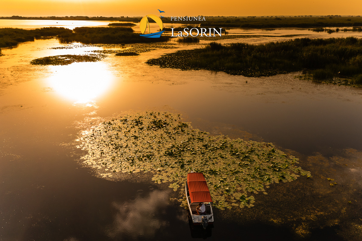pensiunea-la-sorin-cazare-murighiol_piscina_.0204