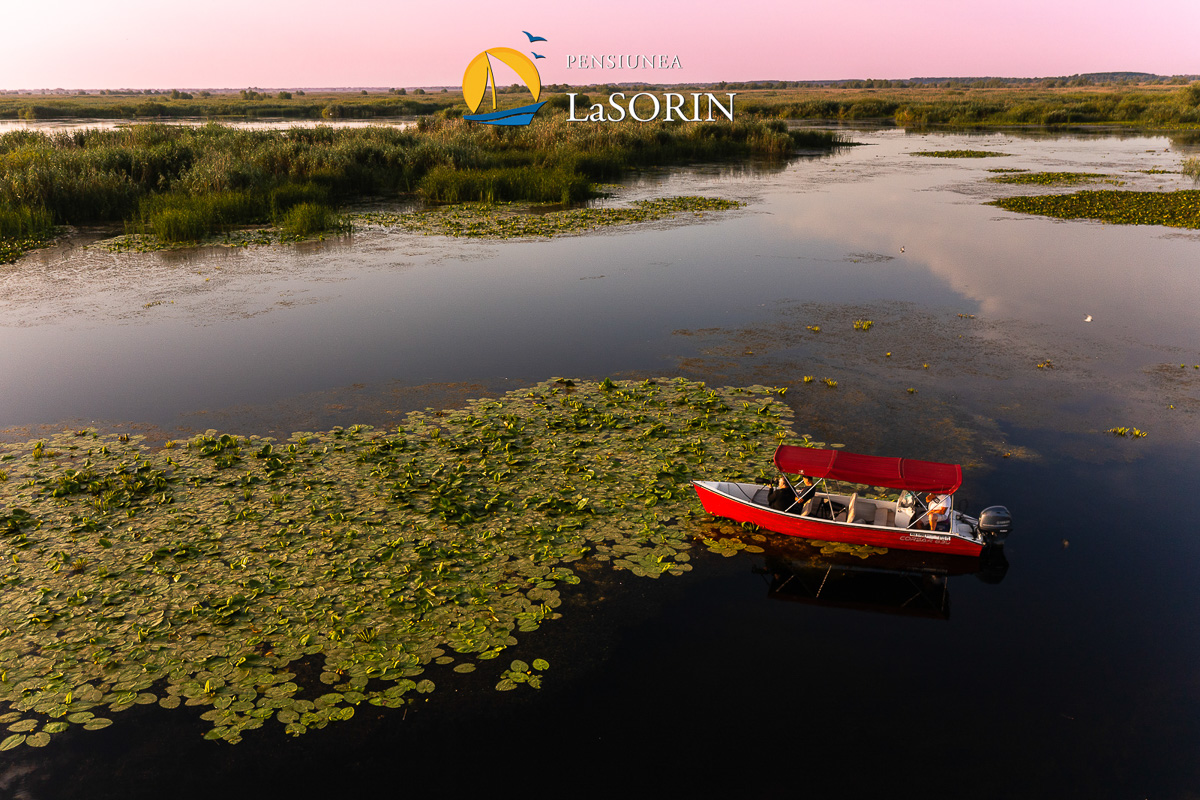 pensiunea-la-sorin-cazare-murighiol_piscina_.0205