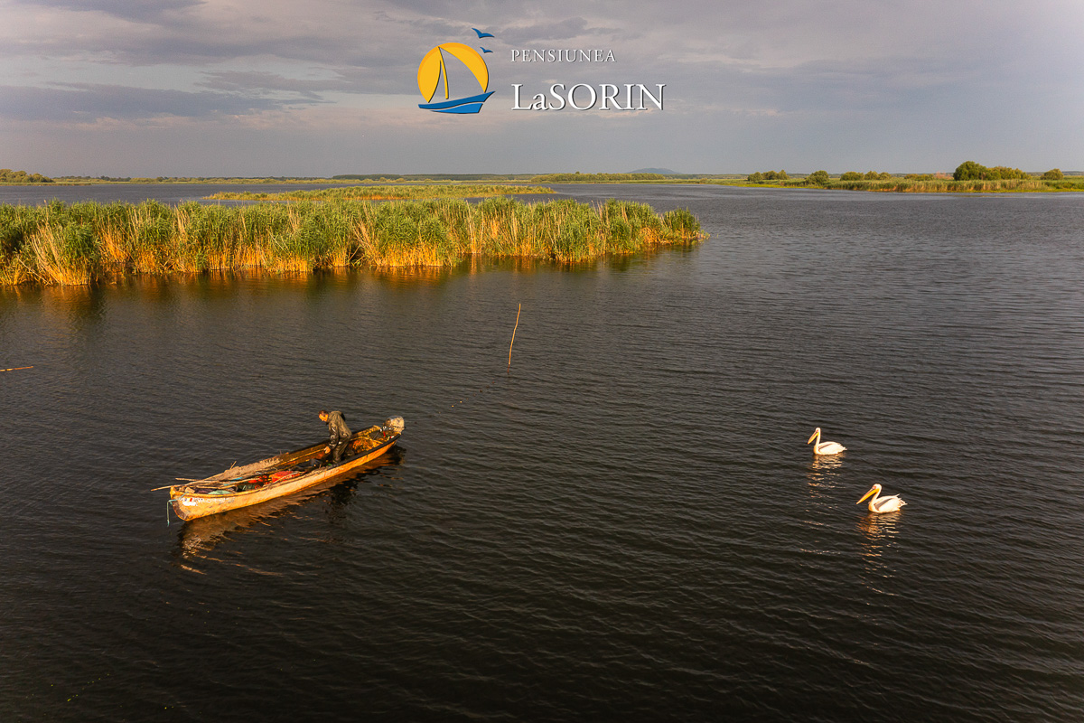 pensiunea-la-sorin-cazare-murighiol_piscina_.0218