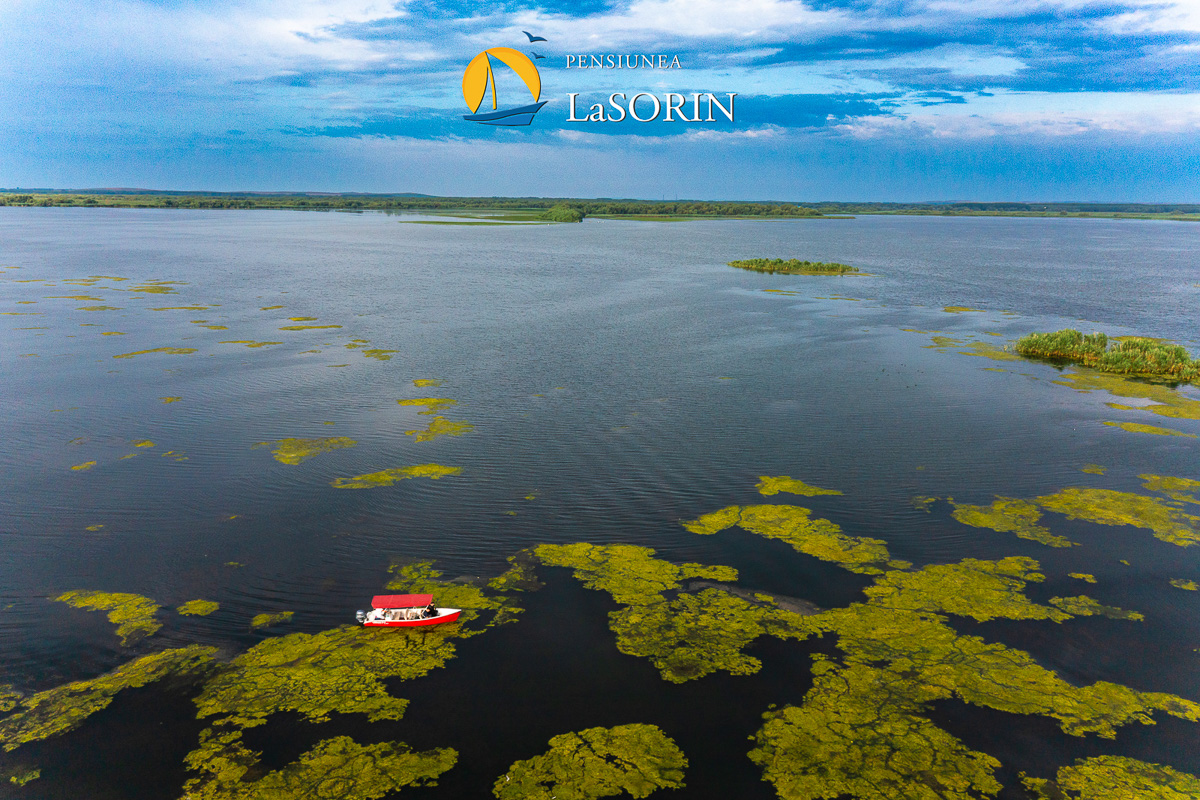 pensiunea-la-sorin-cazare-murighiol_piscina_.0220